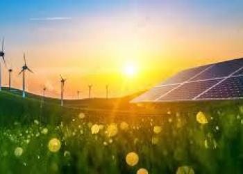 A Revolução da Geração Distribuída e o Desafio da Curva do Pato